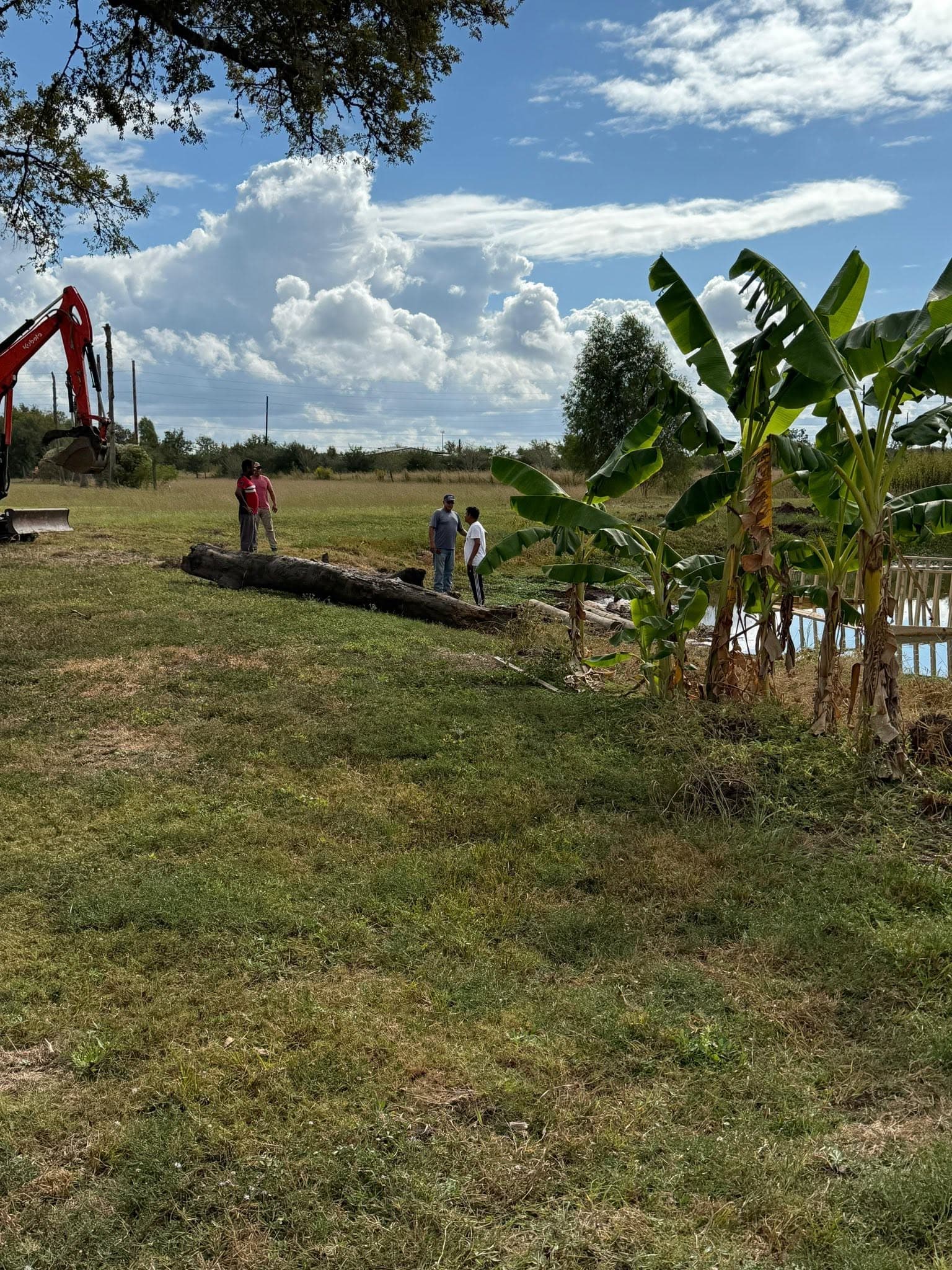Chhath Puja community preparations